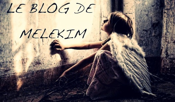 Le blog de Melekim
