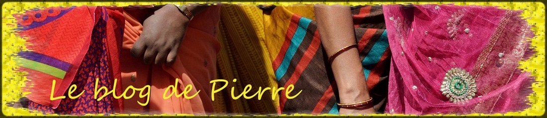 Le blog de Pierre Trotreau