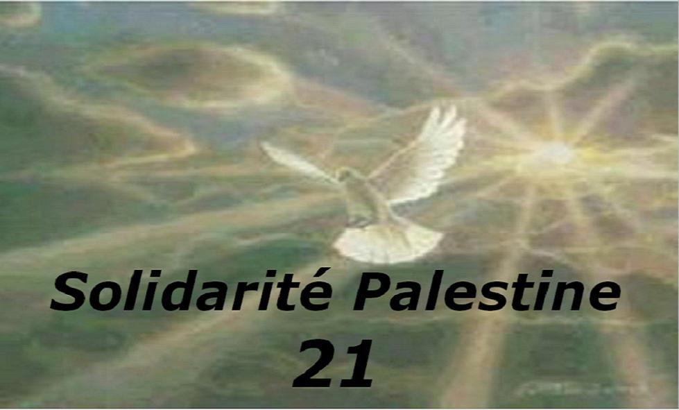 Le blog de Solidarité Palestine