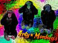 Arty Monkeys - Confiance - 9 Msg