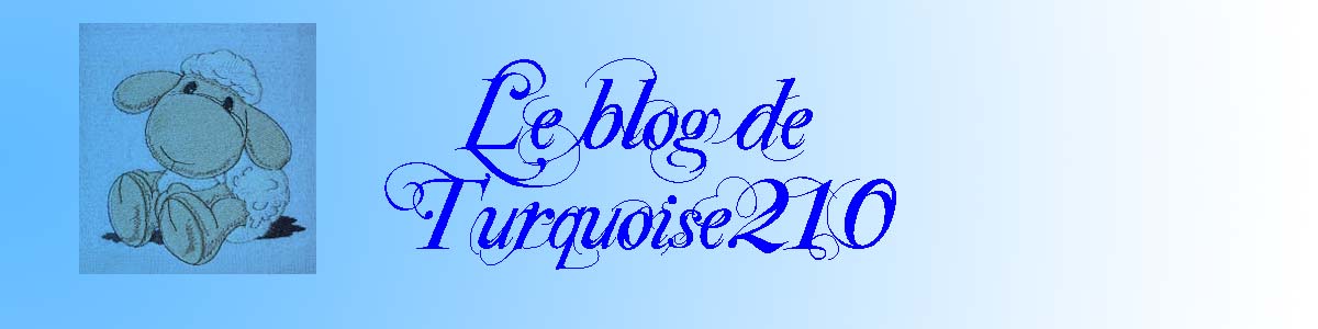 Le blog de Turquoise210