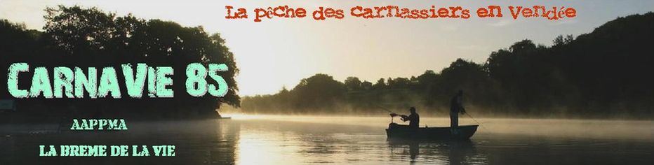 Pêche Carnassiers Vendée : Carnavie 85