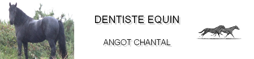 Dentiste Equin Chantal Eure Oise Manche technicien