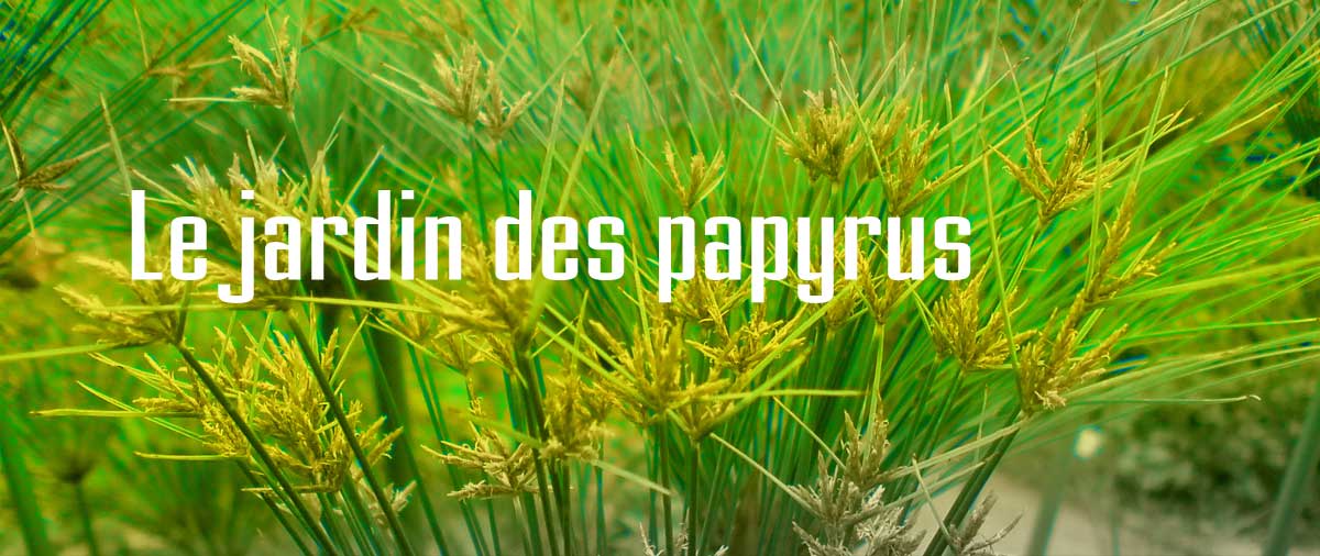 Le jardin des Papyrus