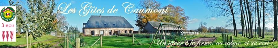 Gîtes ruraux Normandie Dieppe - Les Gîtes de Caumont