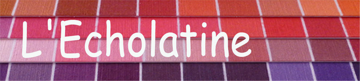 Echolatine.over-blog.com