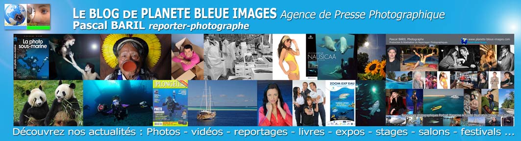 Le blog de Pascal BARIL reporter-photographe Agence Planète Bleue Images 