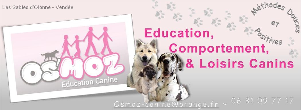 Les actus chez OS'MOZ Education Canine