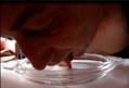 sissylopette - Confiance - 1 Msg