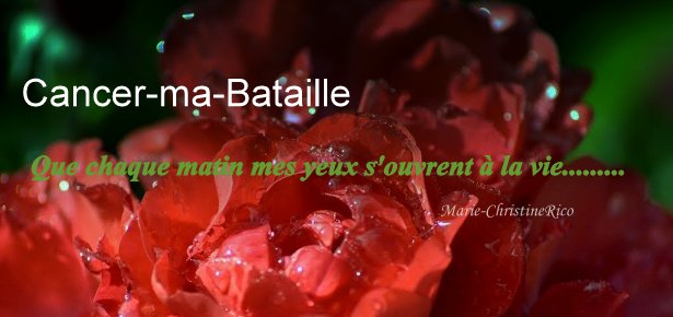 La poitrine silicone sur la jeune fille pauvre