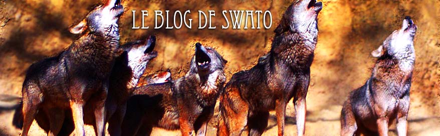 Le blog de Swato
